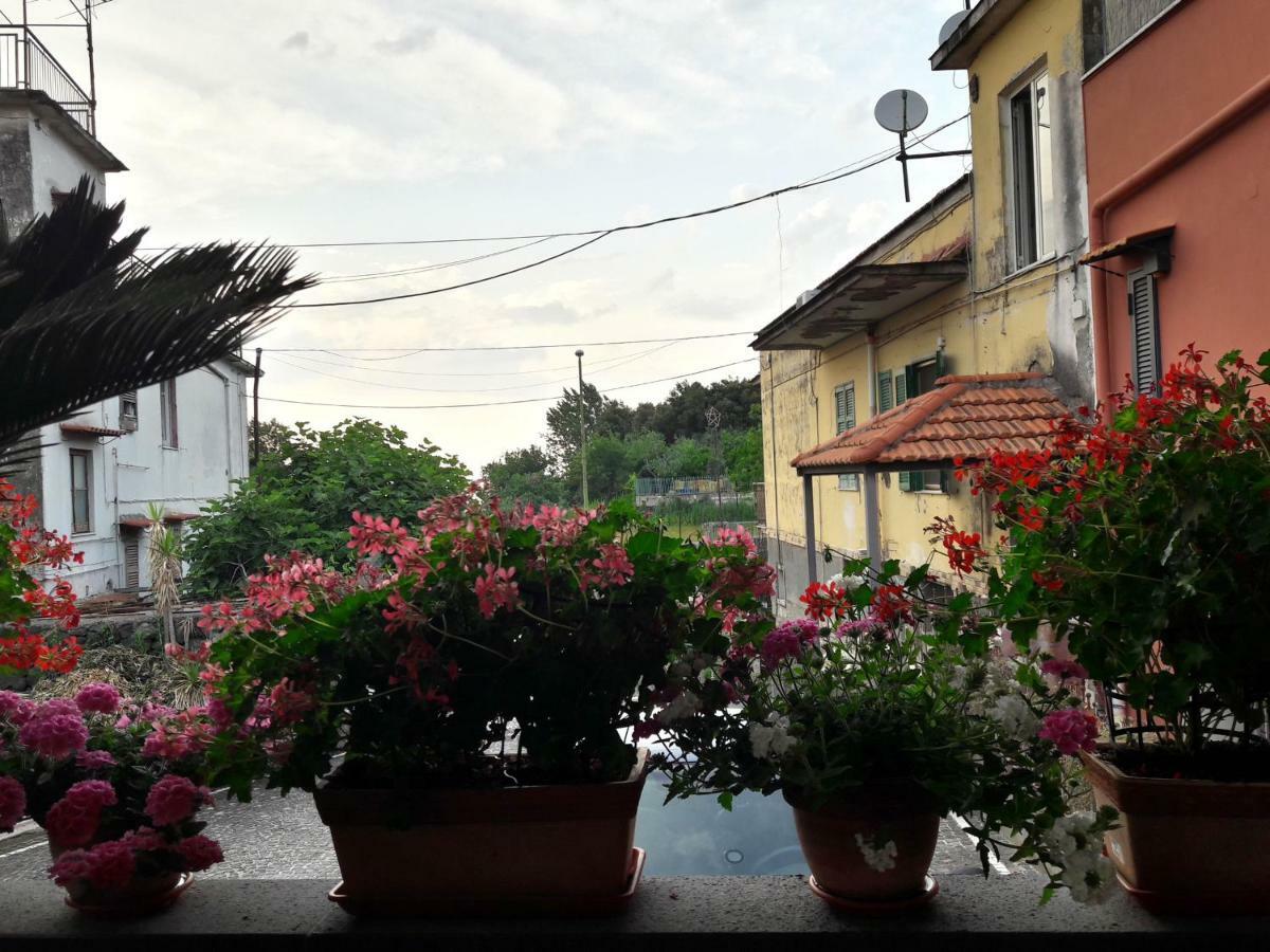 La Caldera Del Vesuvio Bed & Breakfast Ercolano Eksteriør bilde